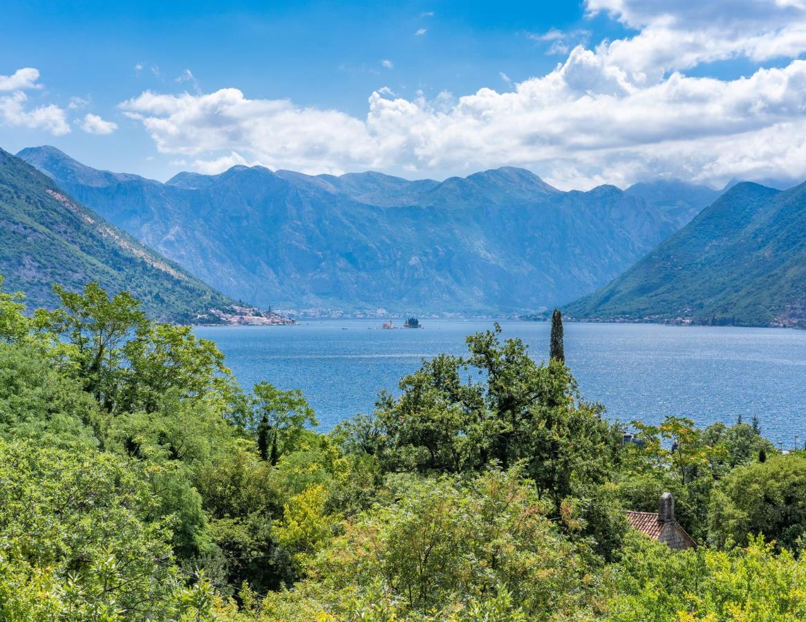 Villa Amfora Lipci Esterno foto